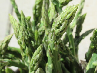 Zbliżenie na młode pędy szparagi © Kumulugma