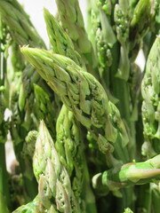 Zbliżenie na młode pędy szparagi © Kumulugma