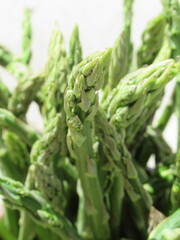 Zbliżenie na młode pędy szparagi © Kumulugma