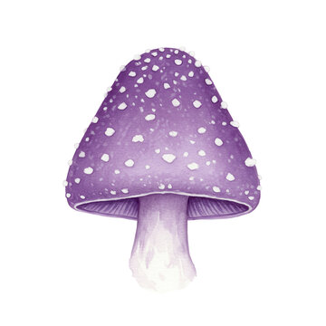 Watercolor purple mushroom with white spots, fantasy forest fungi illustration isolated on white background