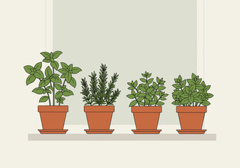 Fototapeta premium Growing fresh herbs in terracotta pots on a window sill indoor gardening modern home environment view