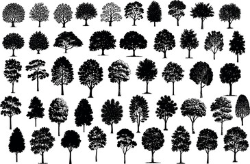 Seamless pattern of different vector tree silhouettes on white background detailed botanical illustration nature elements