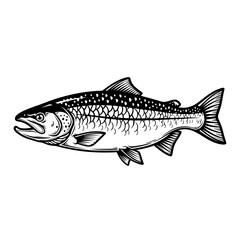 Obraz premium Illustration of salmon fish with detailed scales and fins