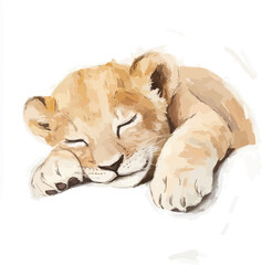 lion cub lying on the floor