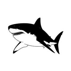 Fototapeta premium Vector art of great white shark illustration with sharp teeth and streamlined body