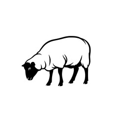 Fototapeta premium Vector art of black and white sheep illustration