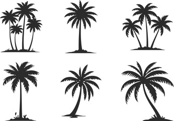 Obraz premium palm trees silhouettes