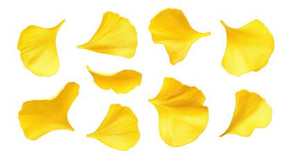 Naklejka premium A arrangement of yellow flower petals scattered artistically on a clean white background. perfect for use in floral designs. wedding invitations. or nature-themed projects