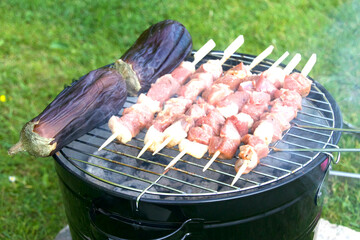 meat on the grill