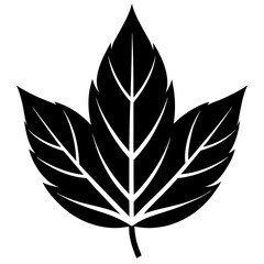 vector leaf silhouette
