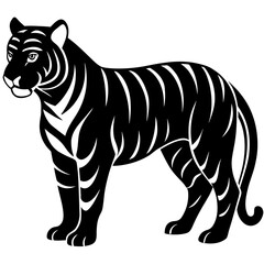 tiger vector illustration