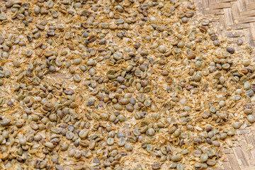 Heap of the peeled raw coffee beans on plate