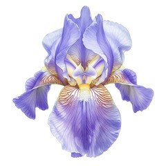 Detailed watercolor iris flower with delicate petals and unique veining isolated on white background