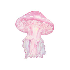Delicate watercolor pink mushroom with dripping stem isolated on white background