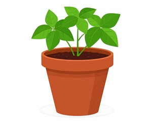 Fototapeta premium Small plant in terracotta pot