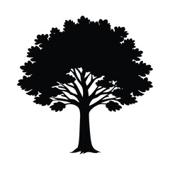 Fototapeta premium Tree Silhouette On White Background