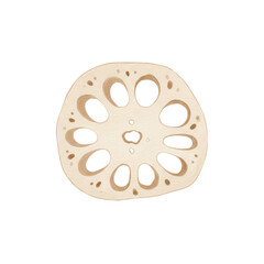 Obraz premium Watercolor illustration of a lotus root slice with oval holes isolated on white background