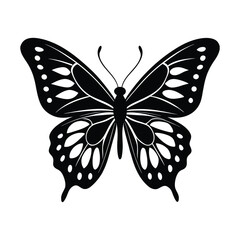 Butterfly Silhouette On White Background