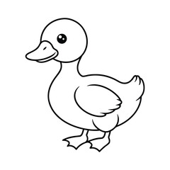 Baby Duck Line Art On White Background