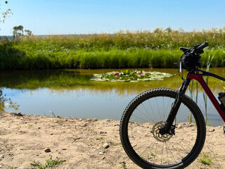 Fototapeta premium Cycling Adventure in the Countryside with a Road Bike