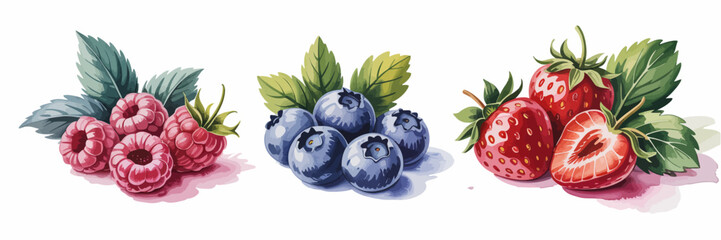 A vibrant collection of fresh raspberries, showcasing their plump, juicy texture and rich red hue, perfect for culinary use or as a colorful decoration in any setting.