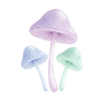 Pastel watercolor mushroom trio lavender, blue, and mint fungi illustration isolated on white background