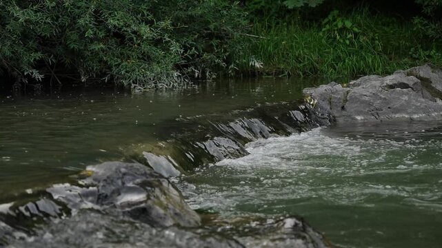 Carpathian river with a rapid and stones. cloudy weather
