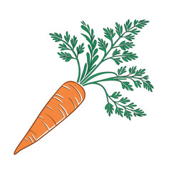 Fresh Vegetable Color Illustrations Pack – Carrot, Tomato, Broccoli, Cabbage, Onion, Garlic, Chili, Potato, Spinach, Eggplant Flat Vector Set