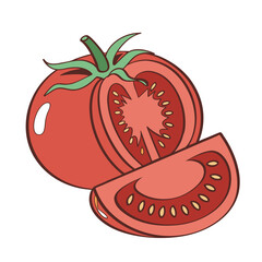 Fresh Vegetable Color Illustrations Pack – Carrot, Tomato, Broccoli, Cabbage, Onion, Garlic, Chili, Potato, Spinach, Eggplant Flat Vector Set