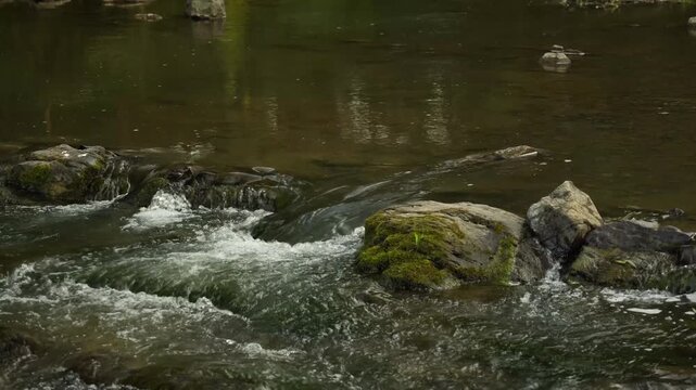 Carpathian river with a rapid and stones. cloudy weather