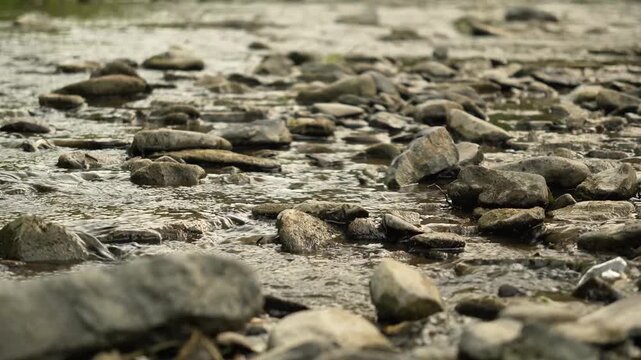 brown silted stones in the river close-up