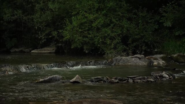 Carpathian river with a rapid and stones. cloudy weather
