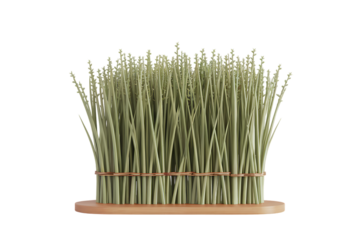 Lush Green Grass Arrangement with Natural Wood Base and Binding for Home Decor 