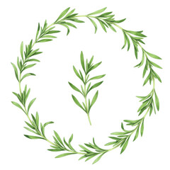 Obraz premium Watercolor rosemary wreath with central sprig, delicate green herb illustration isolated on white background