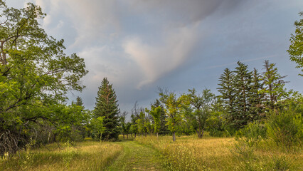 Camping Trail at Danielson Provincial Park in Saskatchewan