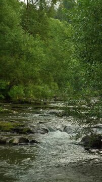 Carpathian river with a rapid and stones. cloudy weather