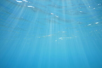 Underwater scene showing rays of sunlight filtering through clear blue water in a serene environment Generative AI