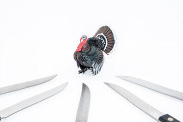 Thanksgiving theme with turkey figurine, knives and pumpkin