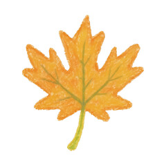 Fototapeta premium PNG Vibrant autumn maple leaf illustration.