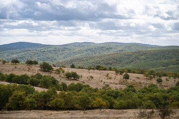 A forested hillside glows with autumn hues behind a dry, grassy field