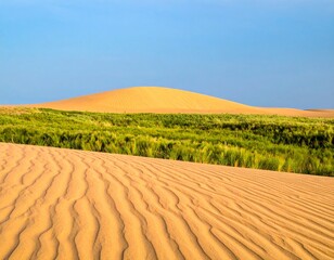 Naklejka premium Desert Landscape: An expansive desert landscape, the sun-kissed sand dunes roll towards the horizon, punctuated by a swathe of vibrant green, under the backdrop of a clear blue sky.