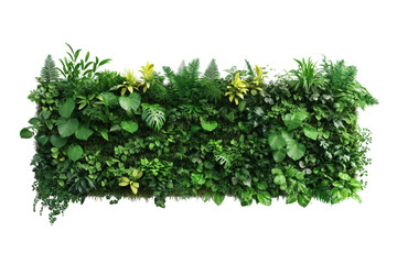 Lush green artificial vertical garden wall with diverse foliage isolated on transparent background. Vertical garden isolated on white background, 3d rendering.