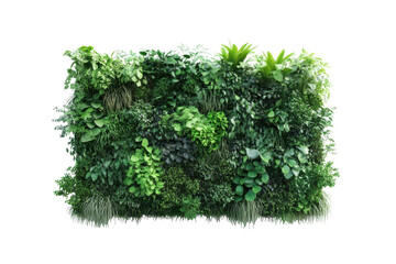 Lush green vertical garden wall with various plants isolated on transparent background. Vertical garden isolated on white background, 3d rendering.
