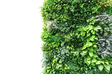 Lush green vertical garden wall with diverse foliage isolated on transparent background. Vertical garden isolated on white background, 3d rendering.