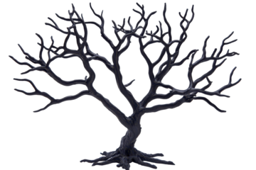 Gnarled bare tree branches isolated on transparent background. Dead tree for Halloween decoration isolated on white background.