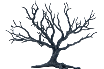 Gnarled bare tree branches isolated on transparent background. Dead tree for Halloween decoration isolated on white background.