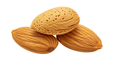 Three almonds isolated on transparent background, close-up of healthy snack food with brown skin and textured surface for nutrition and culinary use