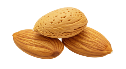 Three almonds isolated on transparent background, close-up of healthy snack food with brown skin and textured surface for nutrition and culinary use