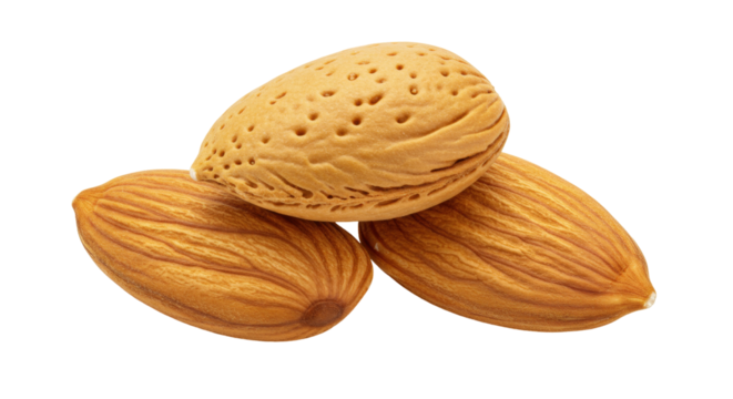 Three almonds isolated on transparent background, close-up of healthy snack food with brown skin and textured surface for nutrition and culinary use