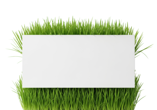 Vibrant green grass with dew frames transparent banner with subtle shadow on transparent, studio light, ultra realistic UHD, commercial quality, concept of natural purity and ecological design